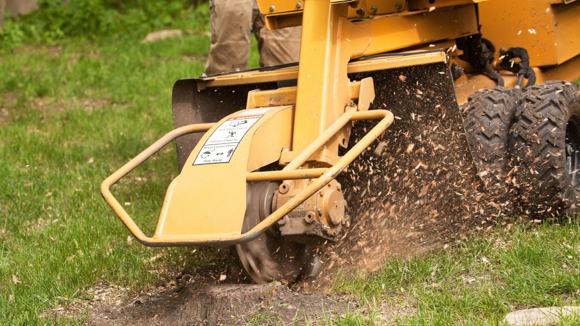 Stump Grinding Images for blog