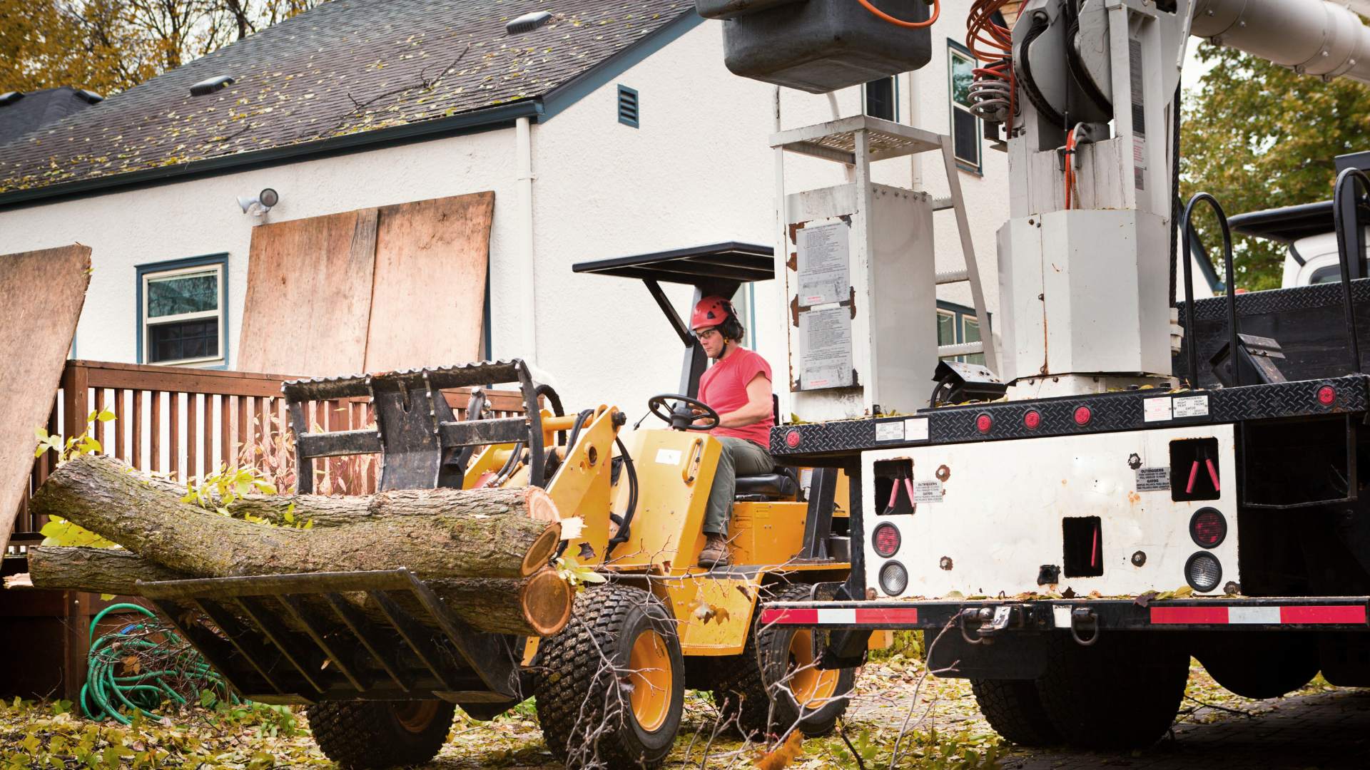 Tree Remove Images for Blog